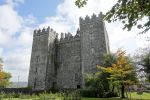 PICTURES/Bunratty Castle and Folk Village/t_Entrance8.JPG